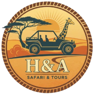 hasafaritours.com