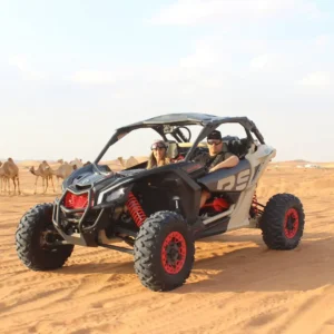 2 Seater Buggy Tours