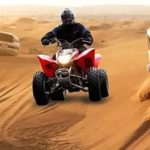 Morning Desert Safari