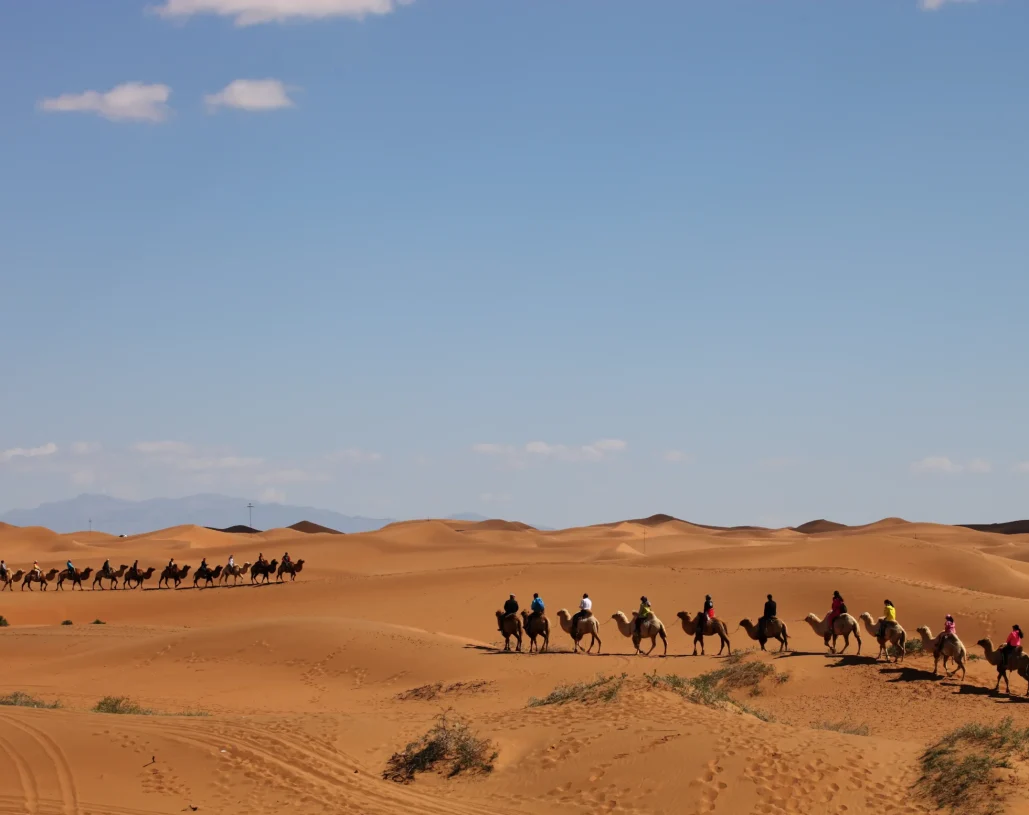 camel-caravan-desert-xinjiang-china